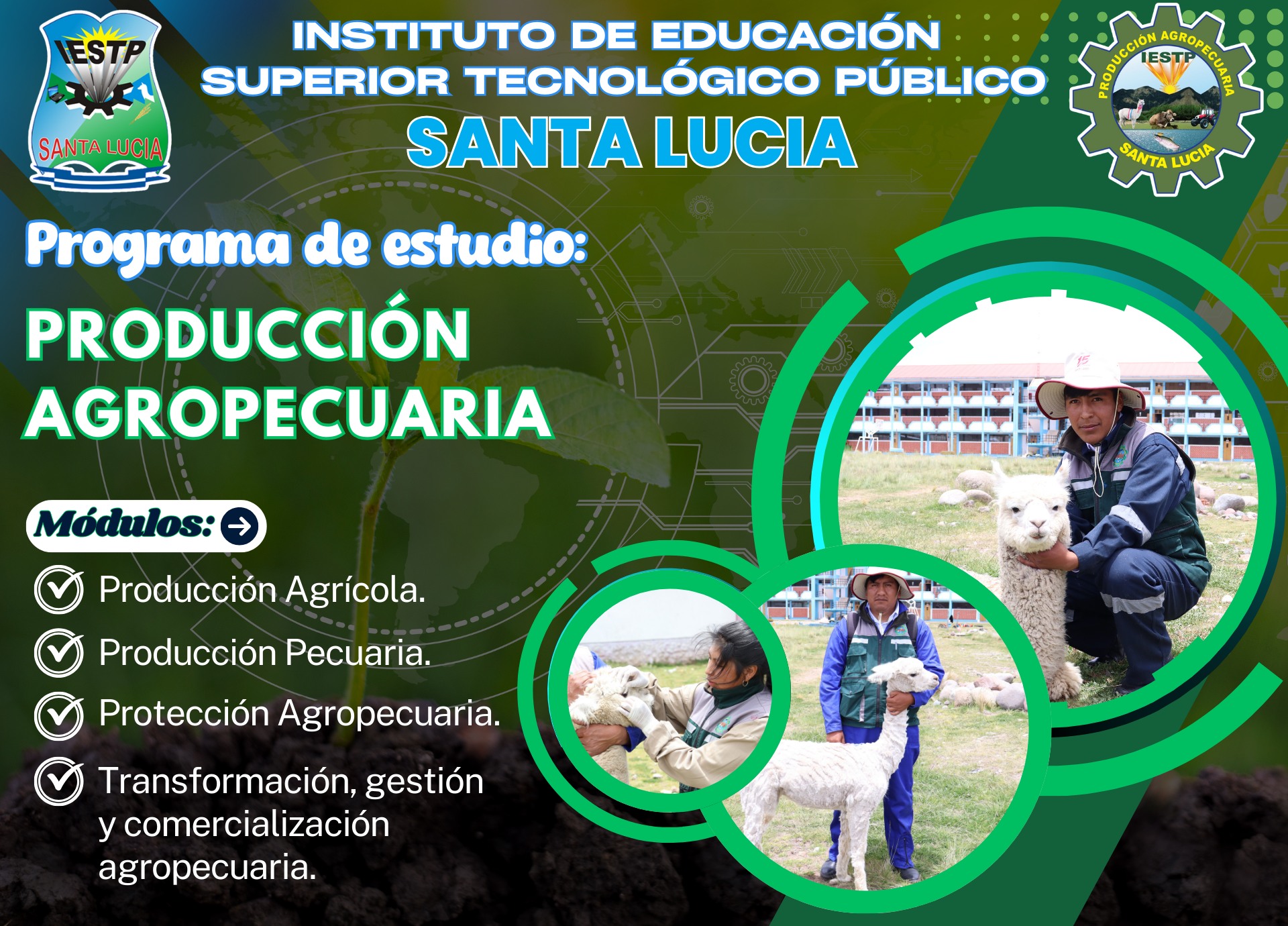 Slide 3